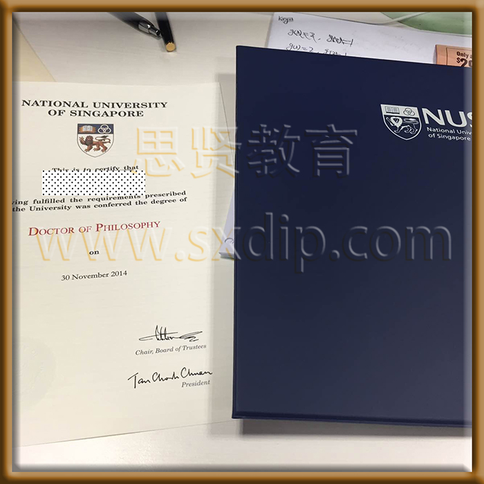 新加坡国立大学-National-University-of-Singapore-diploma-degree