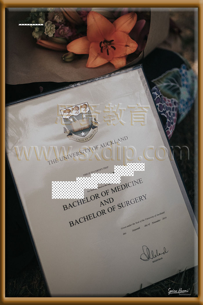 奥克兰大学-University-of-Auckland-diploma-degree