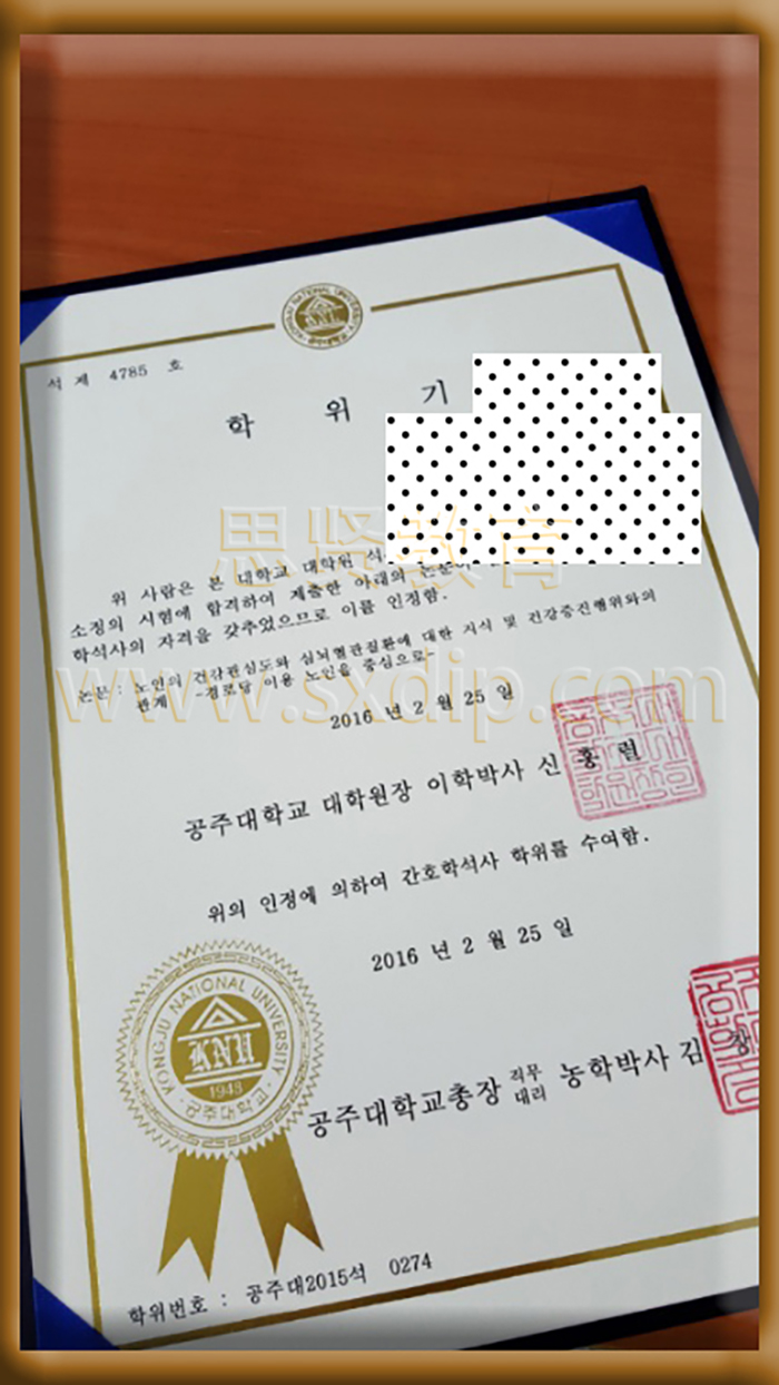 公州大学-National-University,Korean-Public-state-diploma-degree