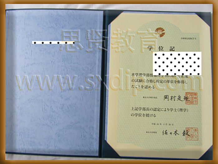 东京大学-University,tokyo-diploma-degree
