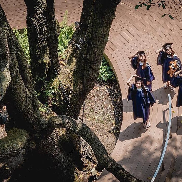 uow文凭证书定制服务等。|伍伦贡大学成绩单GPA修改案例|
