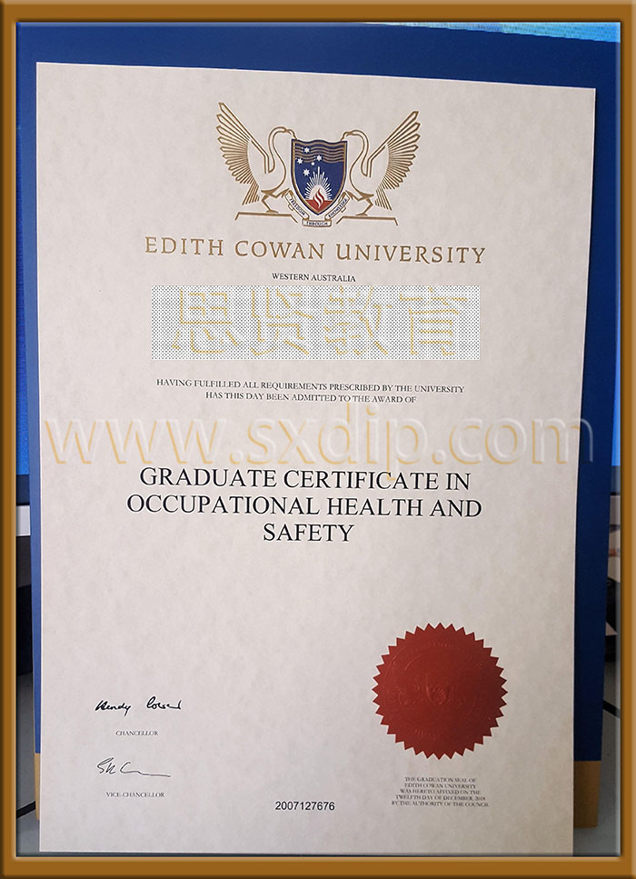 埃迪斯科文大学-Egypt-disco-Cowan-University-diploma-degree