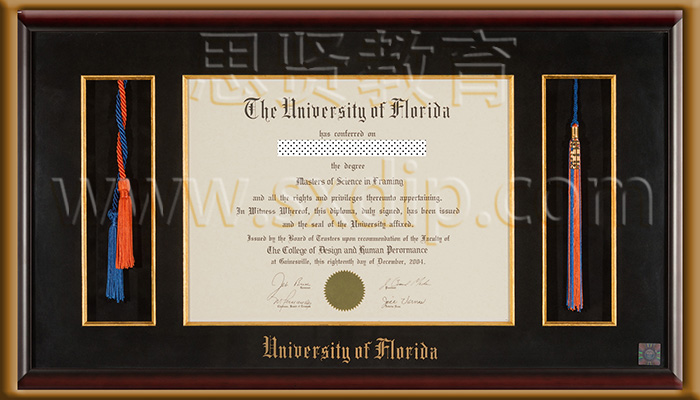 佛罗里达大学-University-of-Florida,-diploma-degree