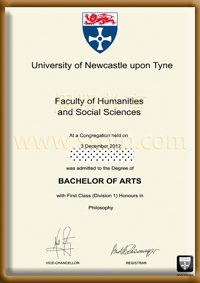 纽卡斯尔大学-Newcastle-University-of-diploma-degree