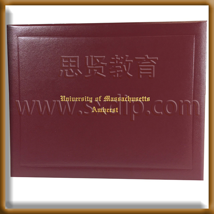 麻省理工学院-MIT-diploma-degree