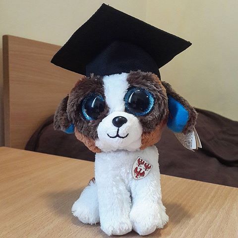 英国文凭办理之考文垂大学毕业证学习规则解析|coventry留学证文凭,留信网教育部认证|