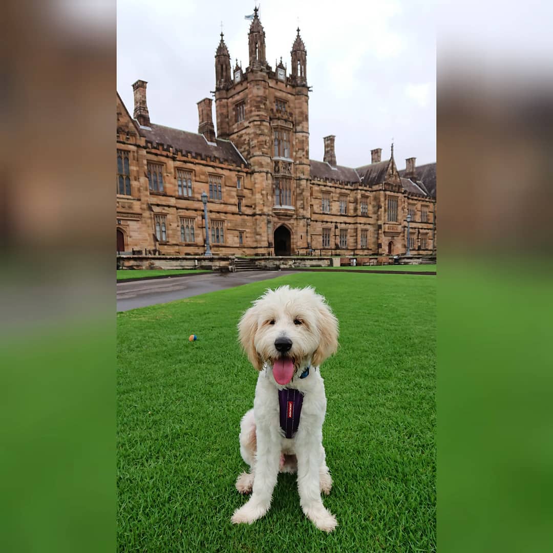 英国文凭办理之考文垂大学毕业证学习规则解析|coventry留学证文凭,留信网教育部认证|