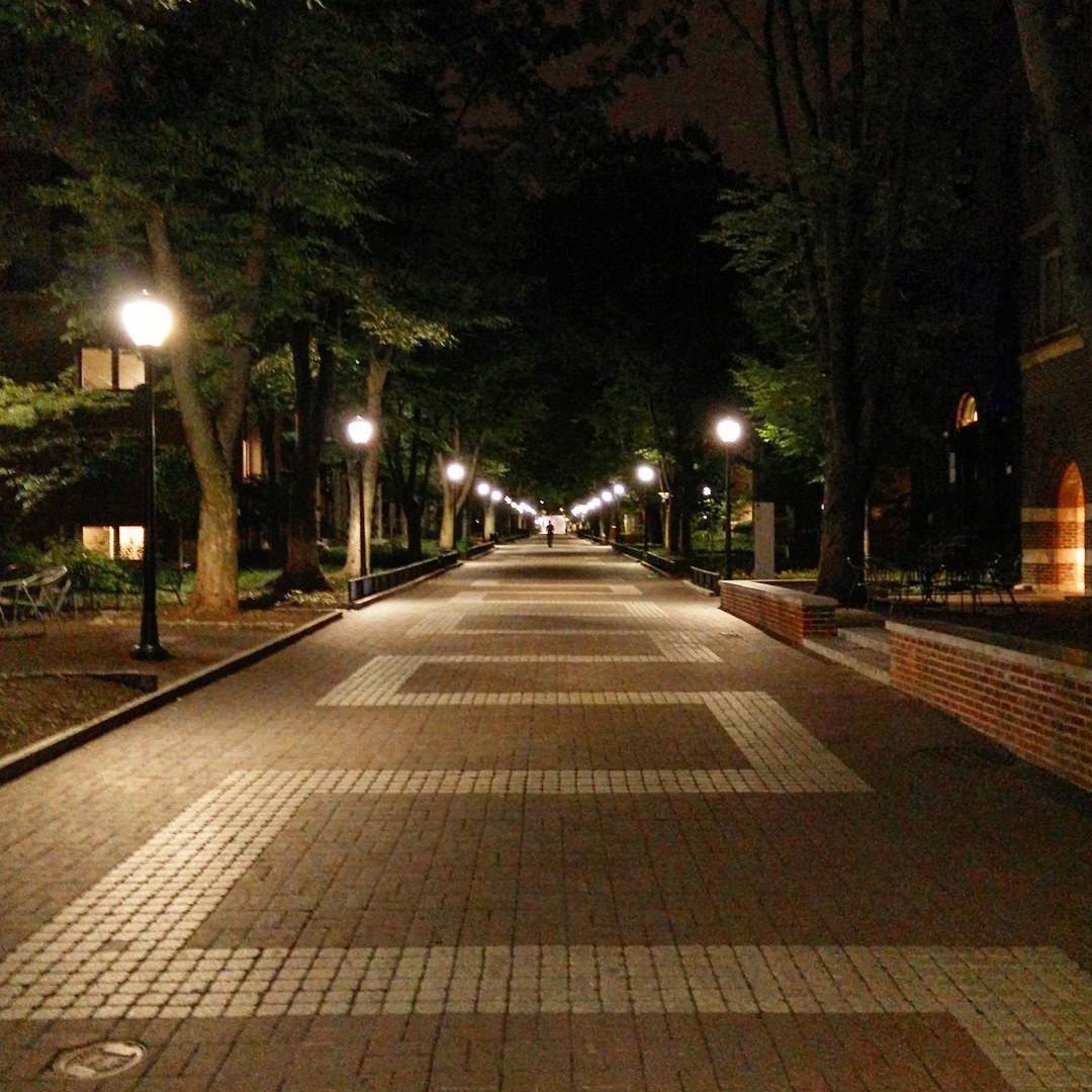 chapman毕业证成绩单模板|美国chapman经济学本科文凭案例|