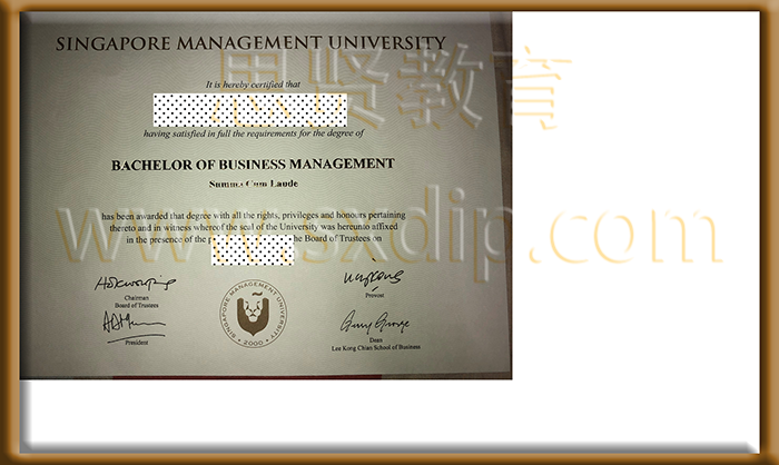 新加坡管理大学-Singapore-Management-University,-diploma-degree