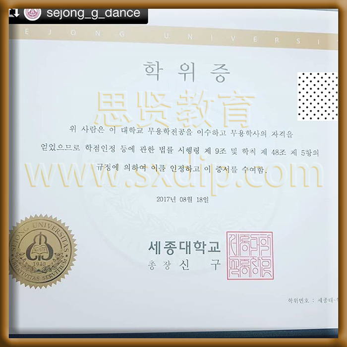 世宗大学-Sejong-University-diploma-degree
