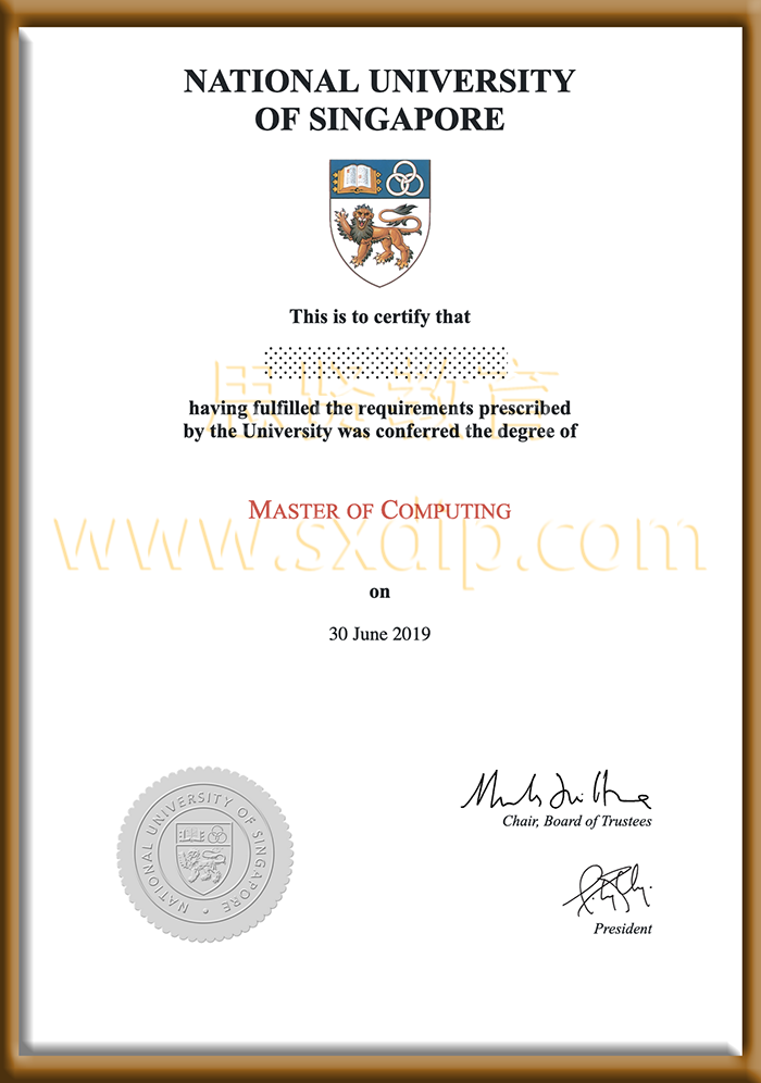 新加坡国立大学-National-University-of-Singapore-diploma-degree
