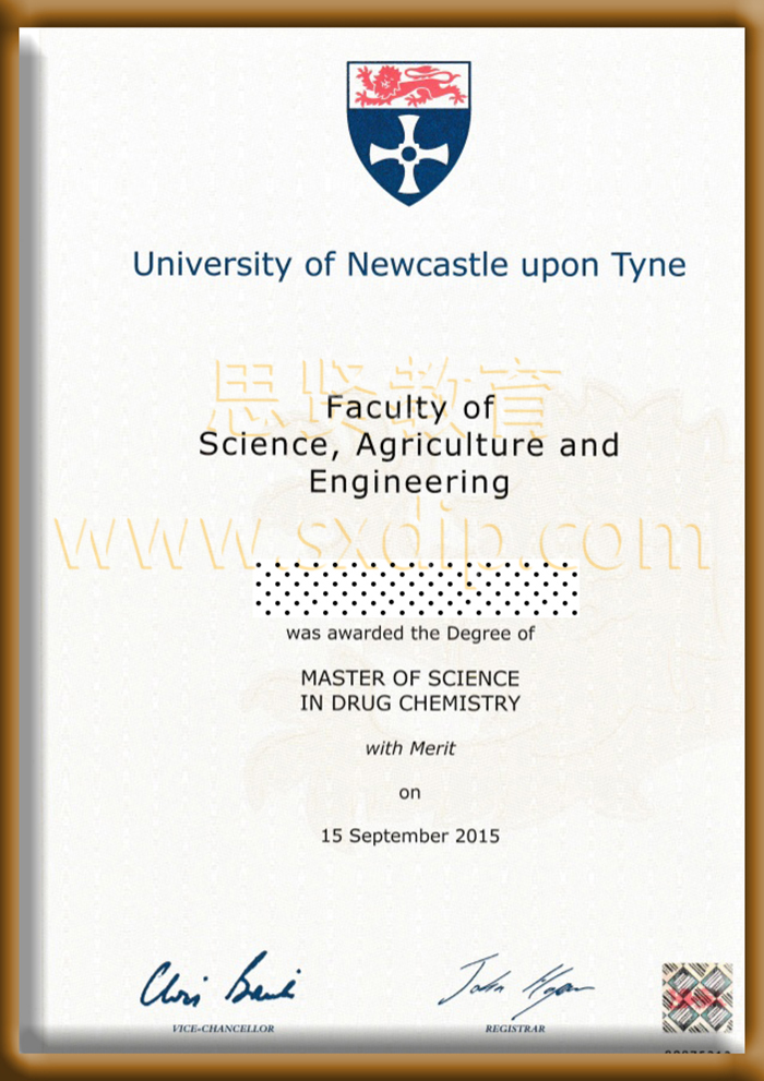 纽卡斯尔大学-Newcastle-University,-diploma-degree