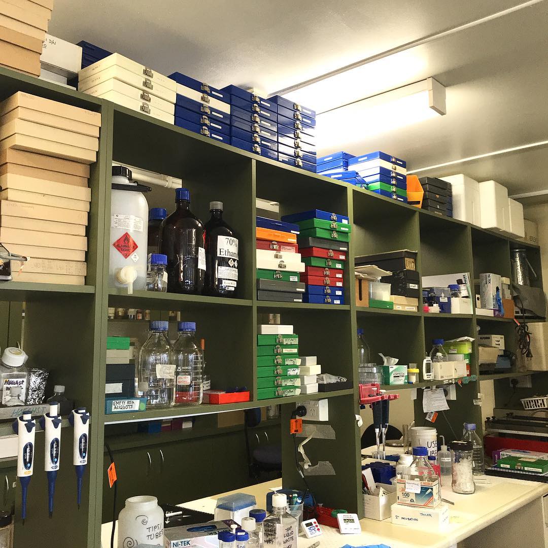 澳大利亚griffith diploma模板|补办格里菲斯大学毕业证流程|