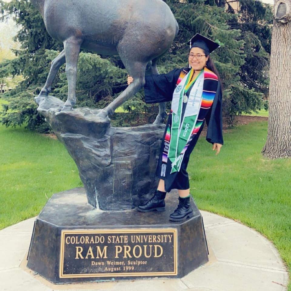伊利诺伊大学厄巴纳-香槟分校毕业证书样本|美国illinois diploma模板|