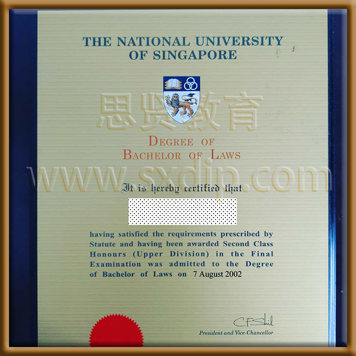 新加坡国立大学-National-University-of-Singapore-diploma-degree