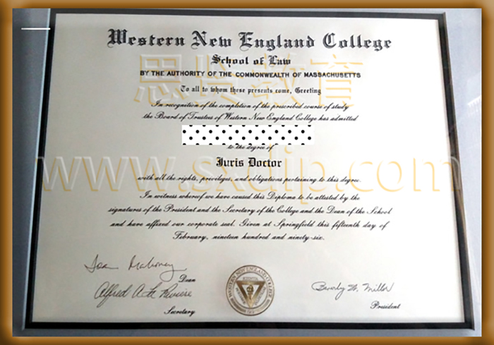 西部新英格兰大学-Western-new-England-University,-diploma-degree