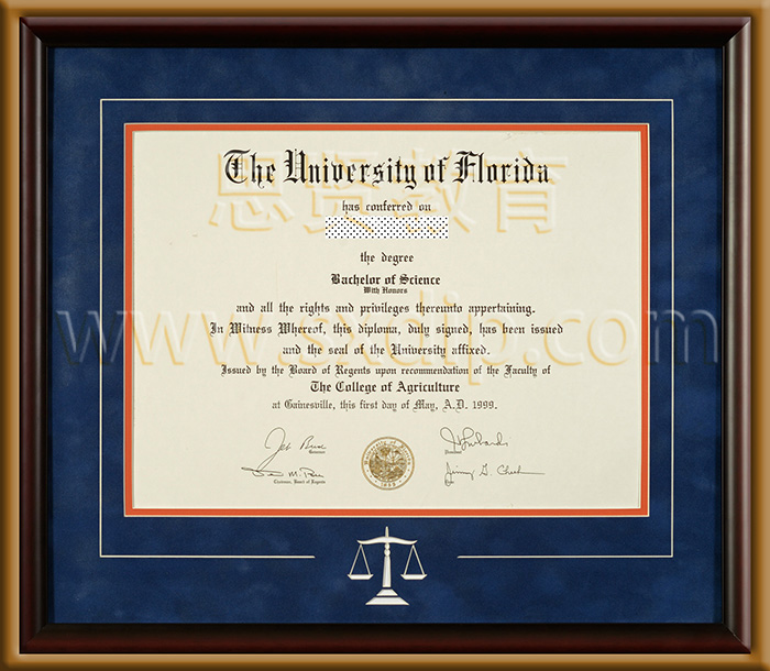 佛罗里达大学-University-of-Florida,-diploma-degree