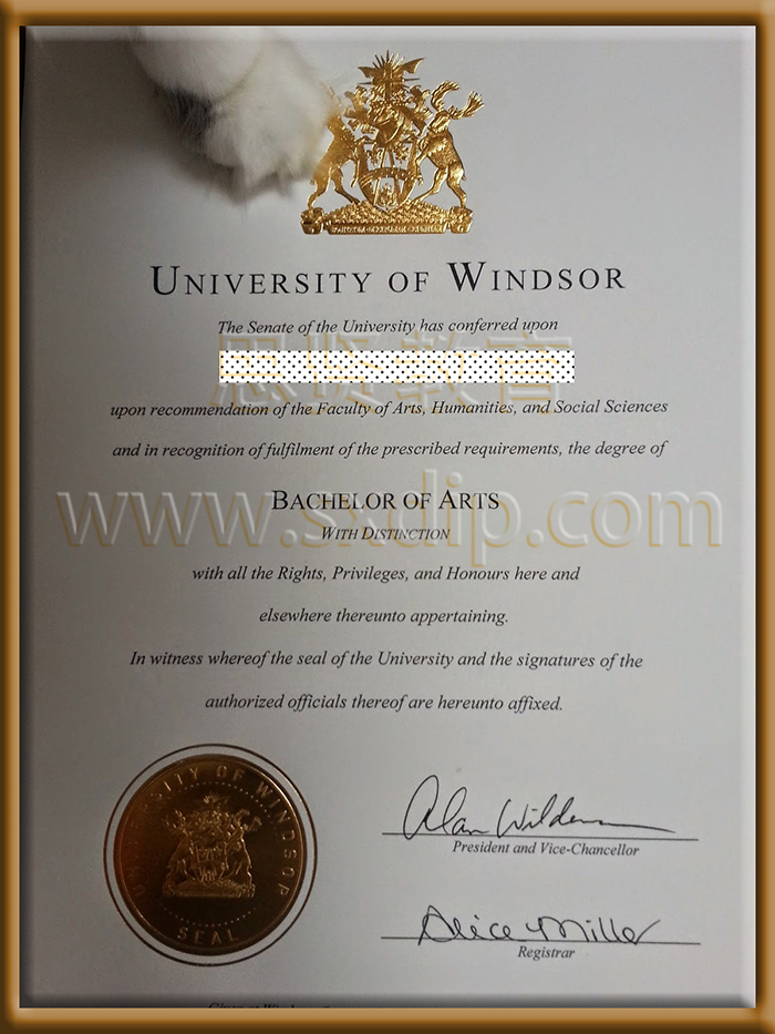 加拿大温莎大学-University-of-Windsor,Canada-diploma-degree