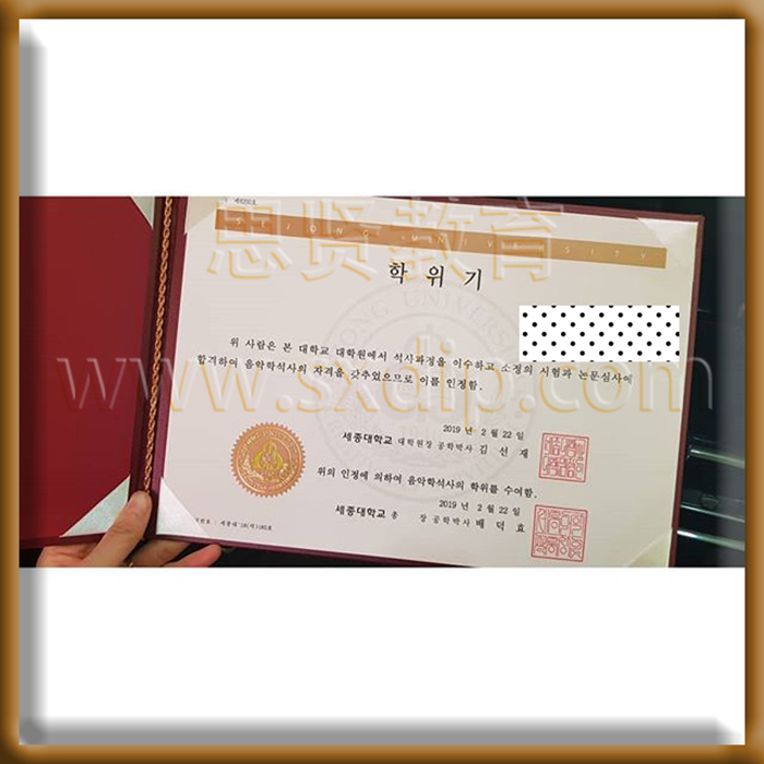 世宗大学-Sejong-University,-diploma-degree
