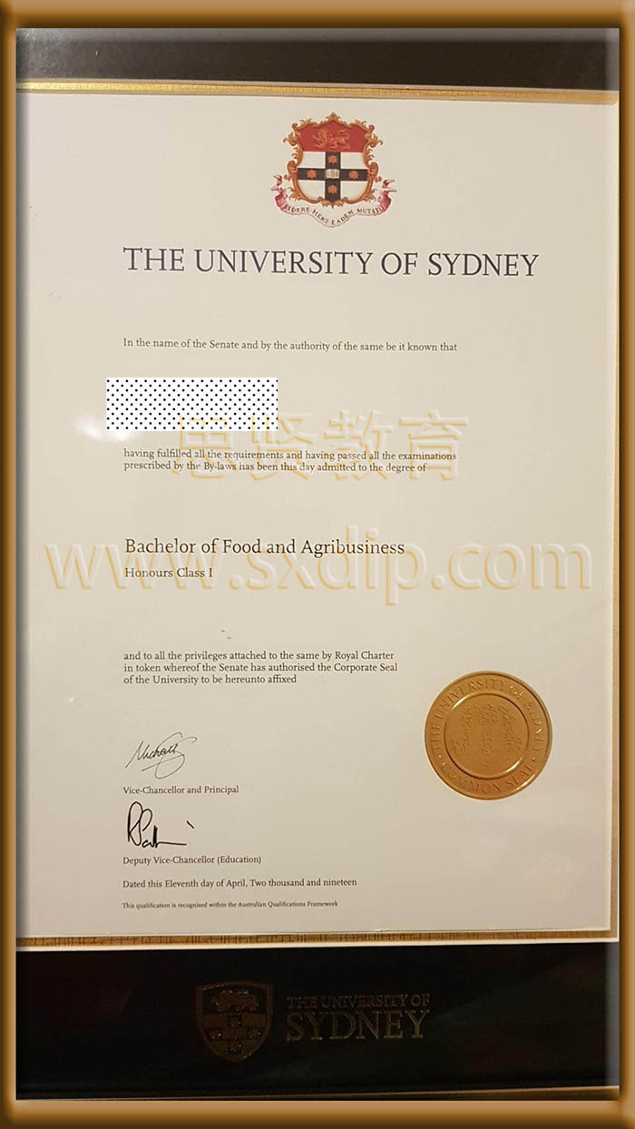 悉尼大学-University-of-Sydney,-diploma-degree
