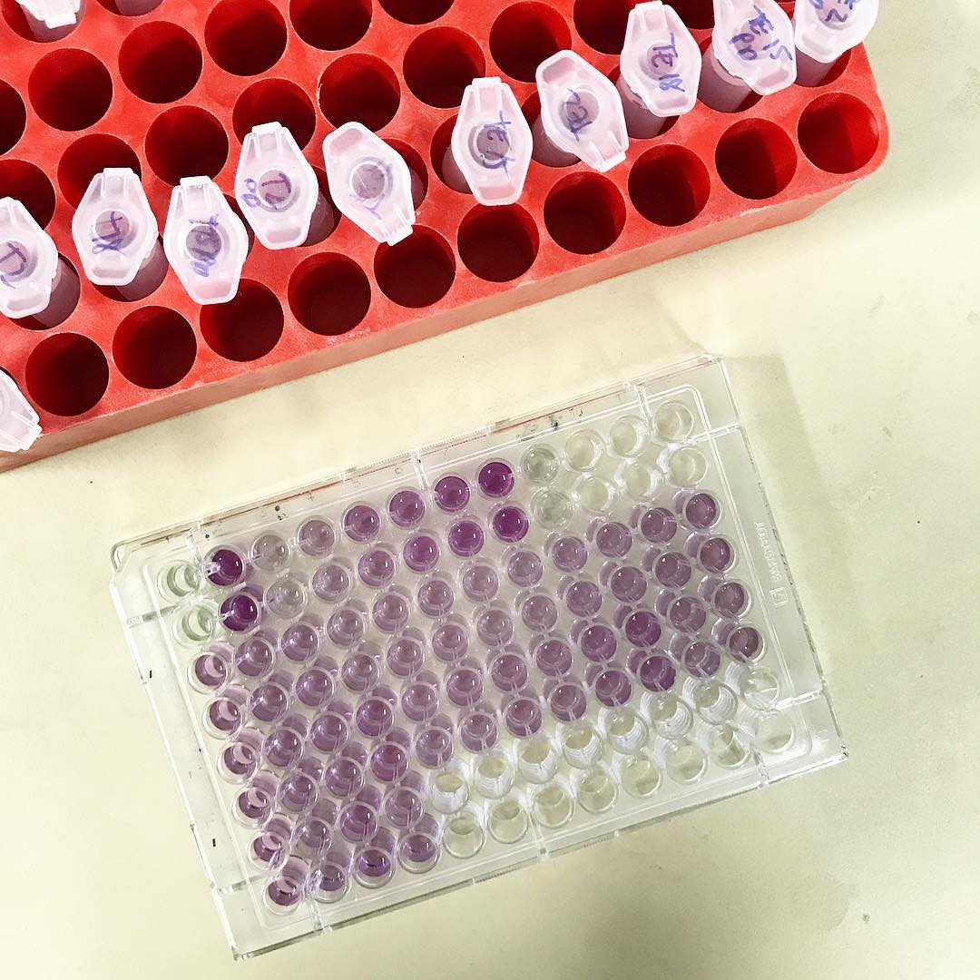 更多英国伦敦艺术大学毕业证制作|制作推荐购买伦敦艺术大学毕业证实拍|