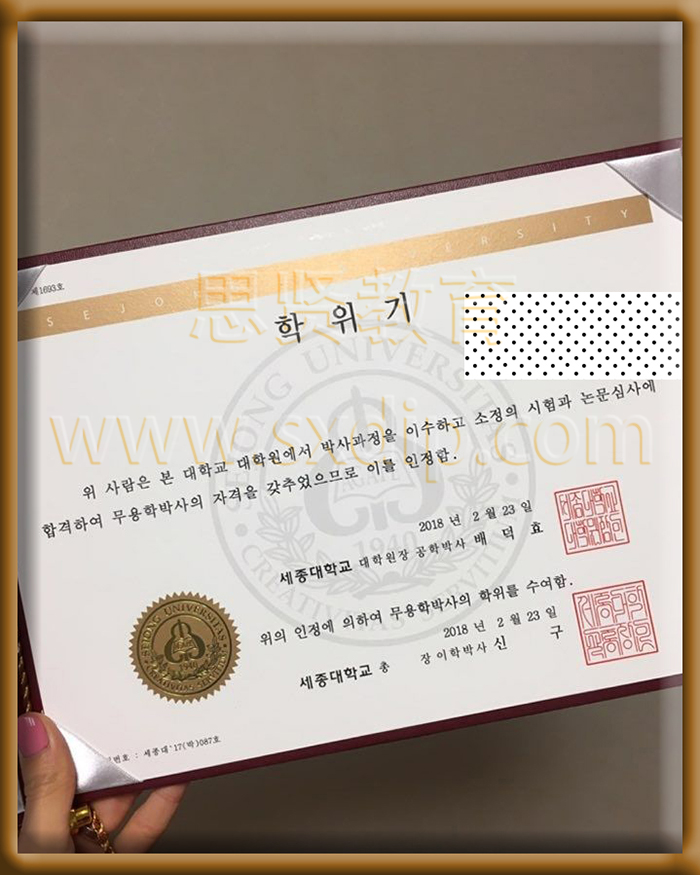 世宗大学-Sejong-University,-diploma-degree