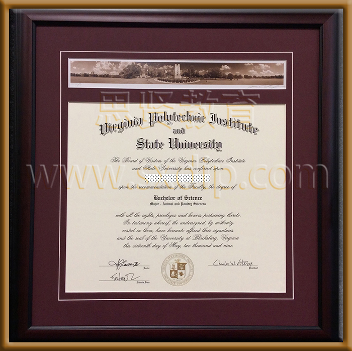 弗吉尼亚理工大学-Virginia-Tech-diploma-degree