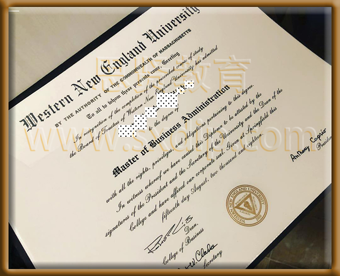 西部新英格兰大学-Western-new-England-University,-diploma-degree