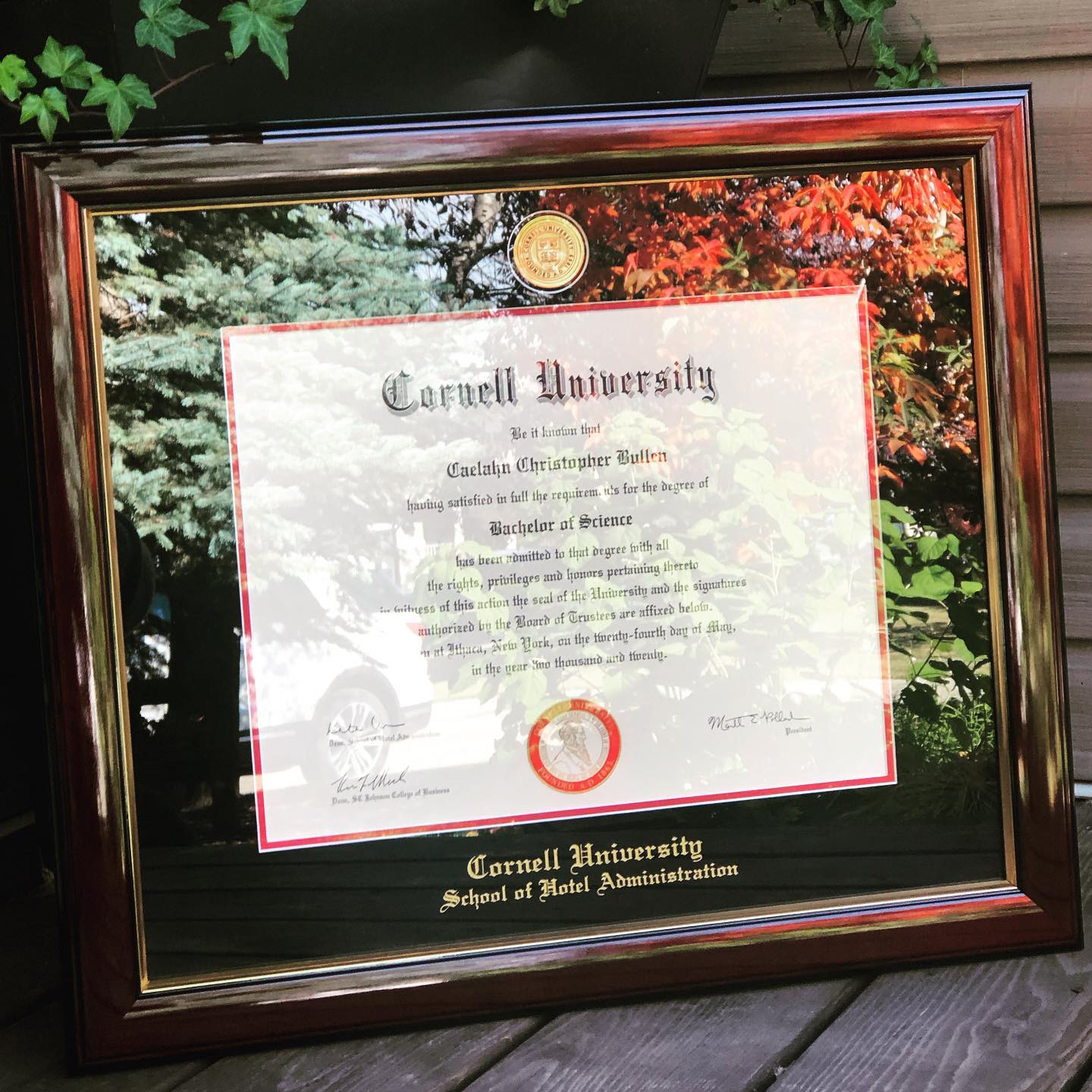 曼彻斯特大学本科学历学位认证如何办理|英国曼彻斯特大学毕业证案例图|