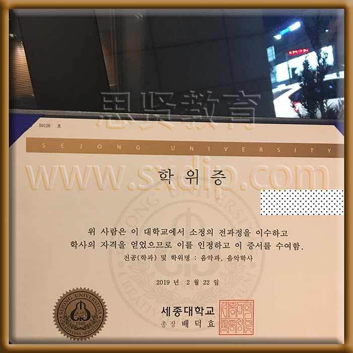 世宗大学-Sejong-University,-diploma-degree