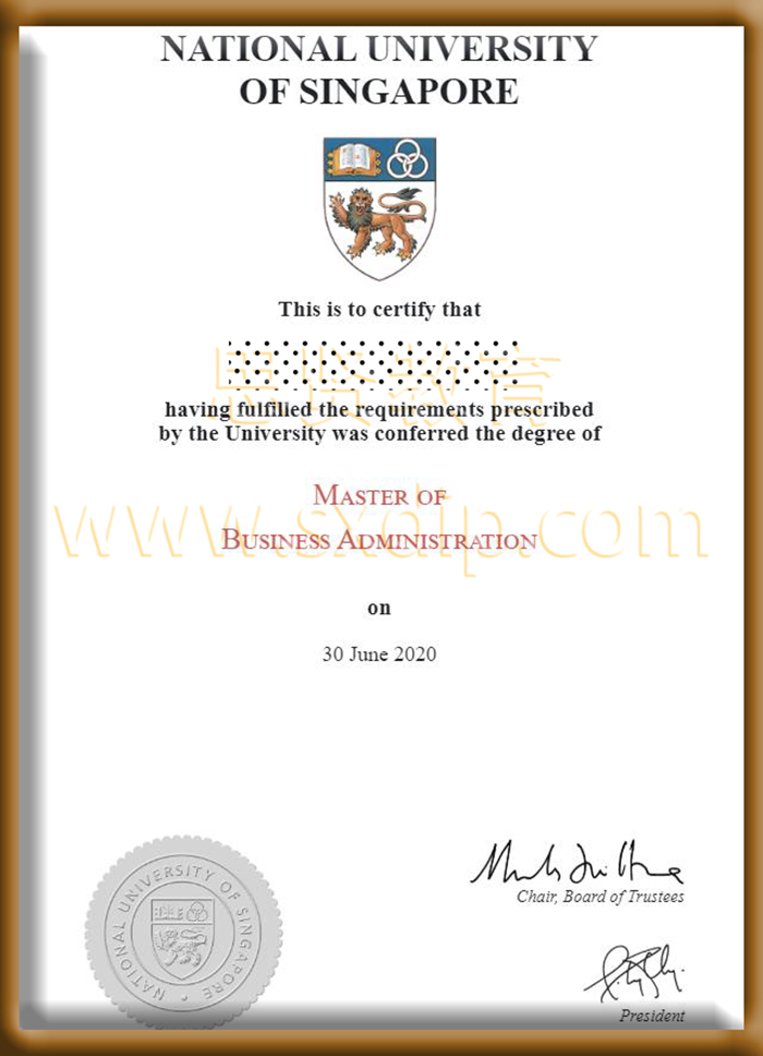 新加坡国立大学-National-University-of-Singapore-diploma-degree