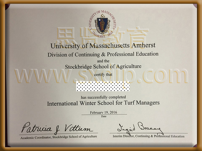 麻省理工学院-Massachusetts-Institute-of-Technology-diploma-degree