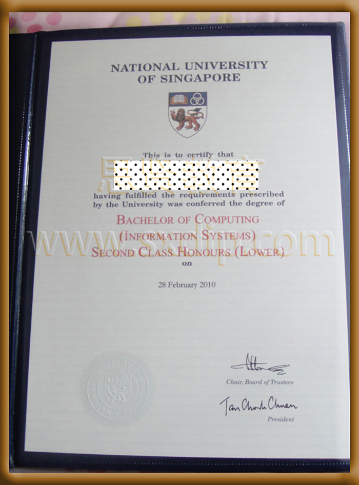 新加坡南洋理工大学-,Nanyang-Technological-diploma-degree