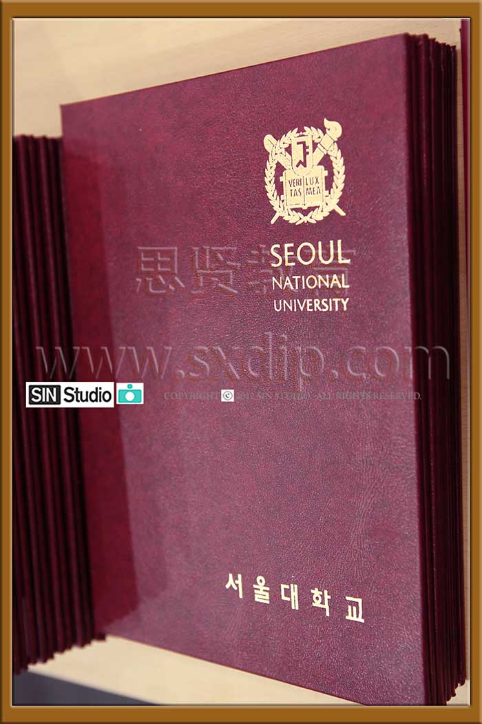 首尔大学-,Seoul-National-University-diploma-degree