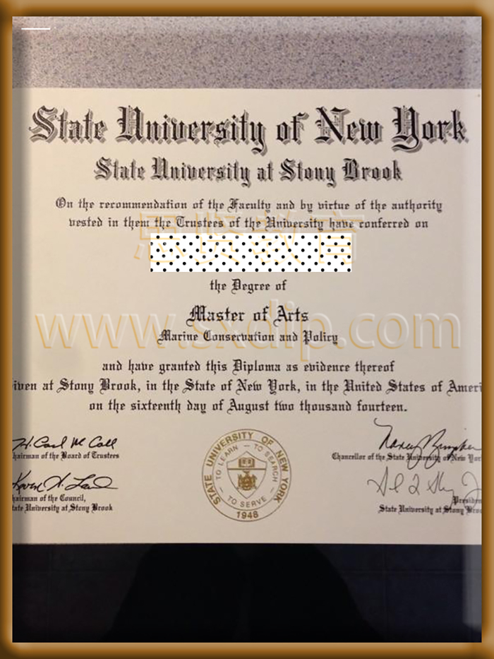 纽约州立大学石溪分校-the-State-University-of-New-York-at-Stony-Brook-diploma-degree