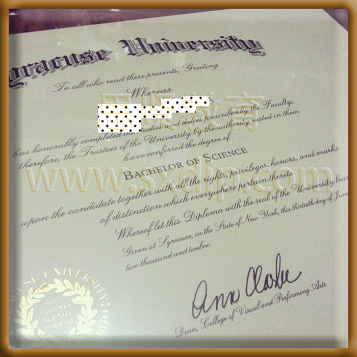 雪城大学-Syracuse-University,-diploma-degree
