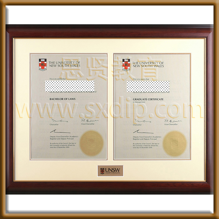 新南威尔士大学-of-new-South-Wales-University-diploma-degree