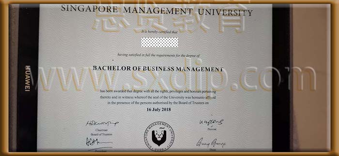 新加坡管理大学-Singapore-management-University,-diploma-degree