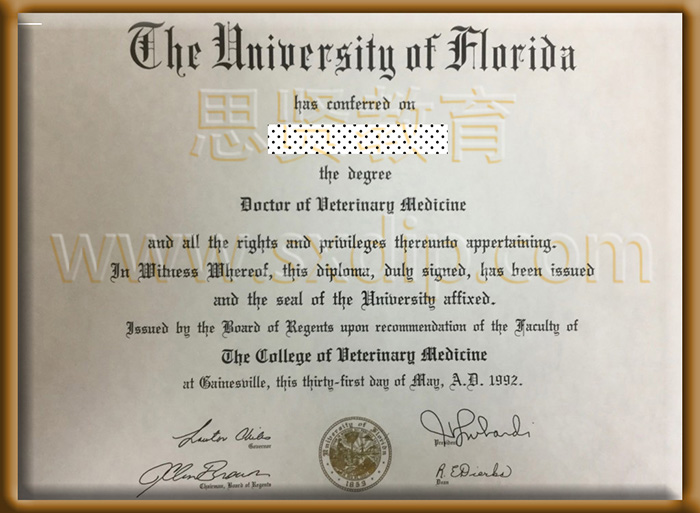 佛罗里达大学-University-of-Florida,-diploma-degree
