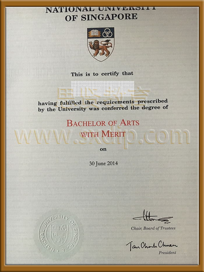 新加坡国立大学-National-University-of-Singapore-diploma-degree
