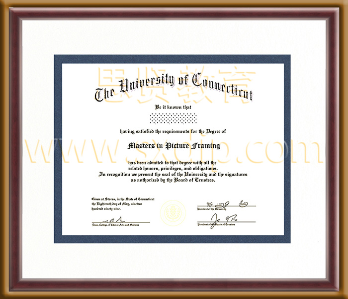 康涅狄格大学-University-of-Connecticut-diploma-degree