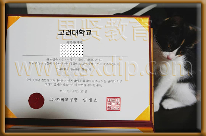 高丽大学-Korea-University-diploma-degree