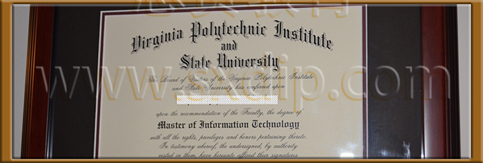 弗吉尼亚理工大学-Virginia-Tech-diploma-degree