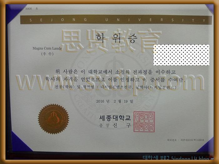 世宗大学-Sejong-University-diploma-degree