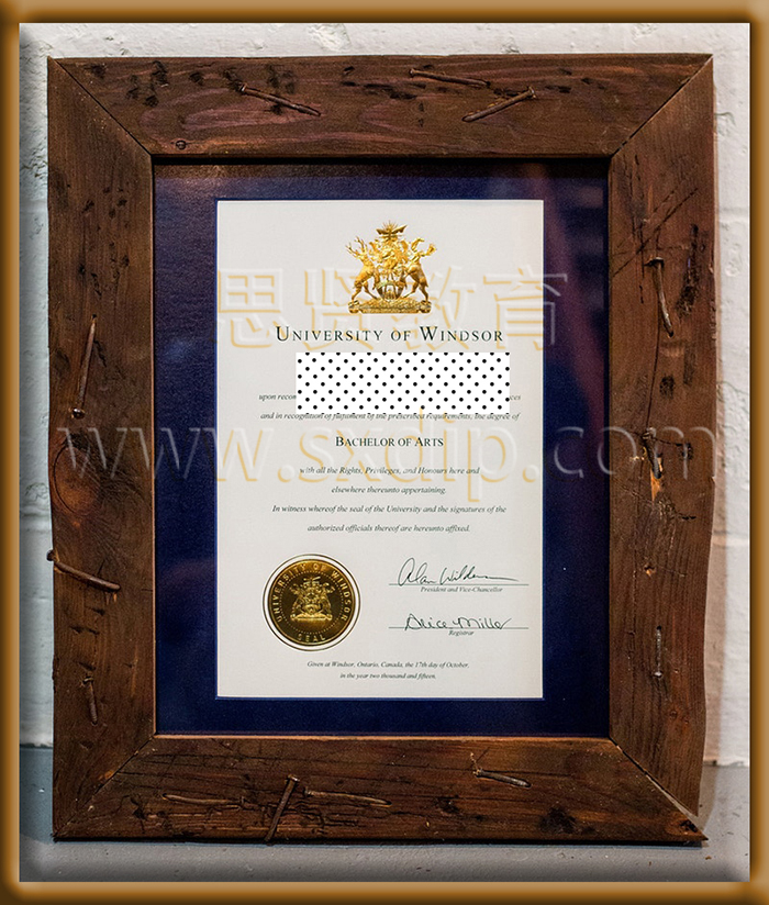 加拿大温莎大学-Canada-University-of-Windsor,-diploma-degree
