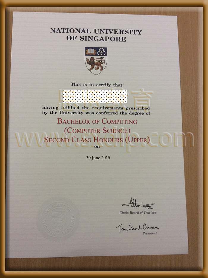 新加坡国立大学-National-University-of-Singapore-diploma-degree