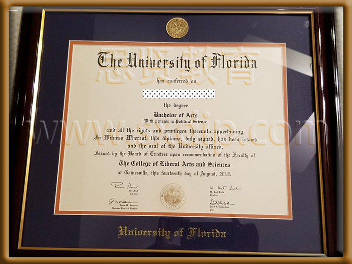 佛罗里达大学-University-of-Florida,-diploma-degree
