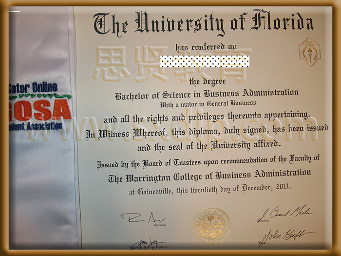 佛罗里达大学-University-of-Florida,-diploma-degree