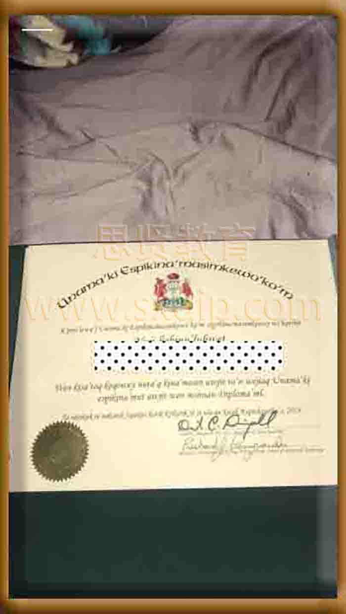 卡普顿大学-University-of-Cape-Breton-diploma-degree