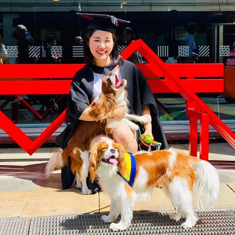 美国圣托马斯大学是什么样子|美国stthomas经济学本科文凭案例|